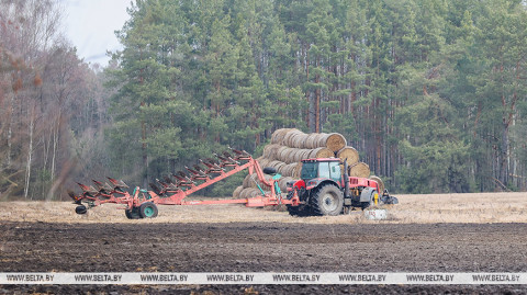 Flax planting started in Belarus