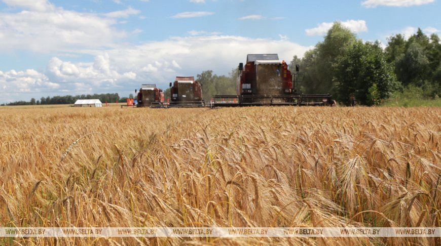 Lukashenko urges to pay more attention to harvesting tactics