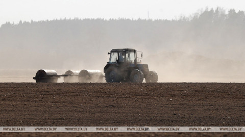 Early spring crops planted on nearly 23% of designated area in Belarus