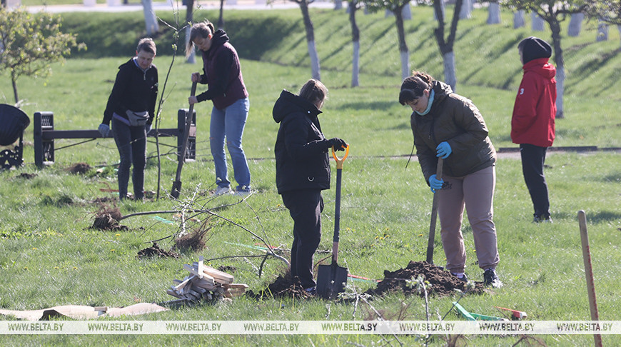 Gomel residents team up to landscape war memorial in Krasny Bereg