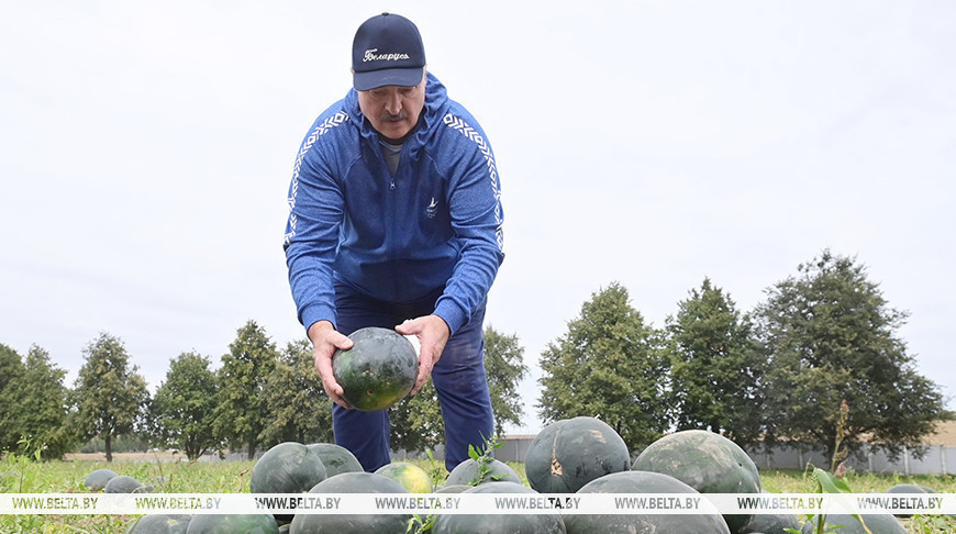 Lukashenko encourages farmers to venture into new crops