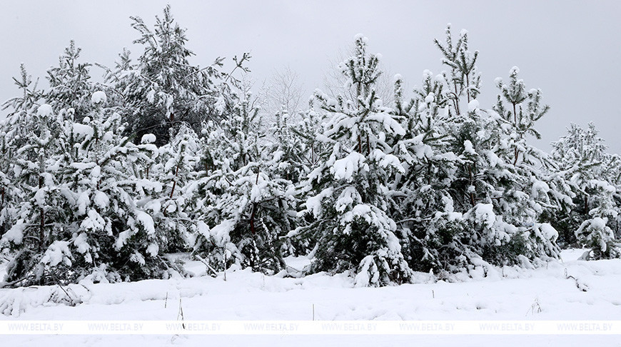 First snowstorm in Gomel Oblast