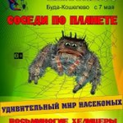 С 7 мая в картинной галерее им. Е.Е. Моисеенко пройдет выставка насекомых