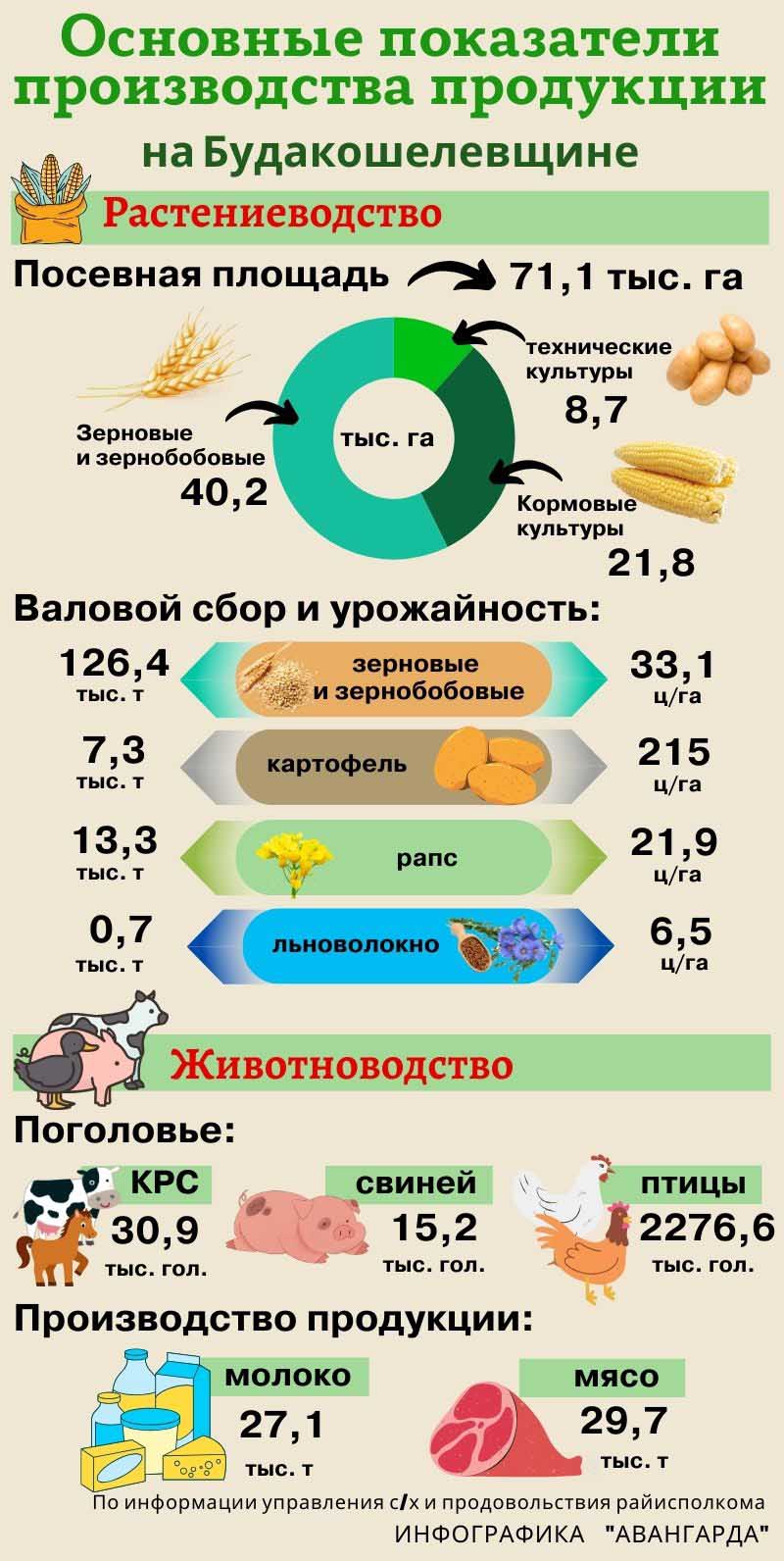 Основные показатели производства продукции на Будакошелевщине