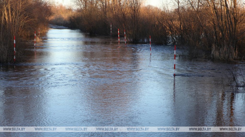 
Подтопления талыми водами зафиксированы в Минской и Гомельской областях