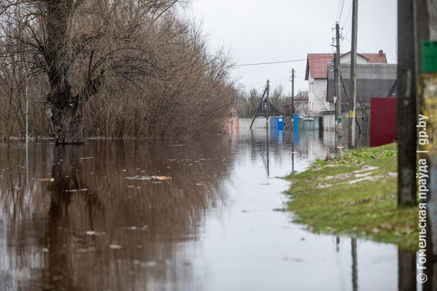 В Гомельской области талыми и паводковыми водами подтоплены 144 жилых дома